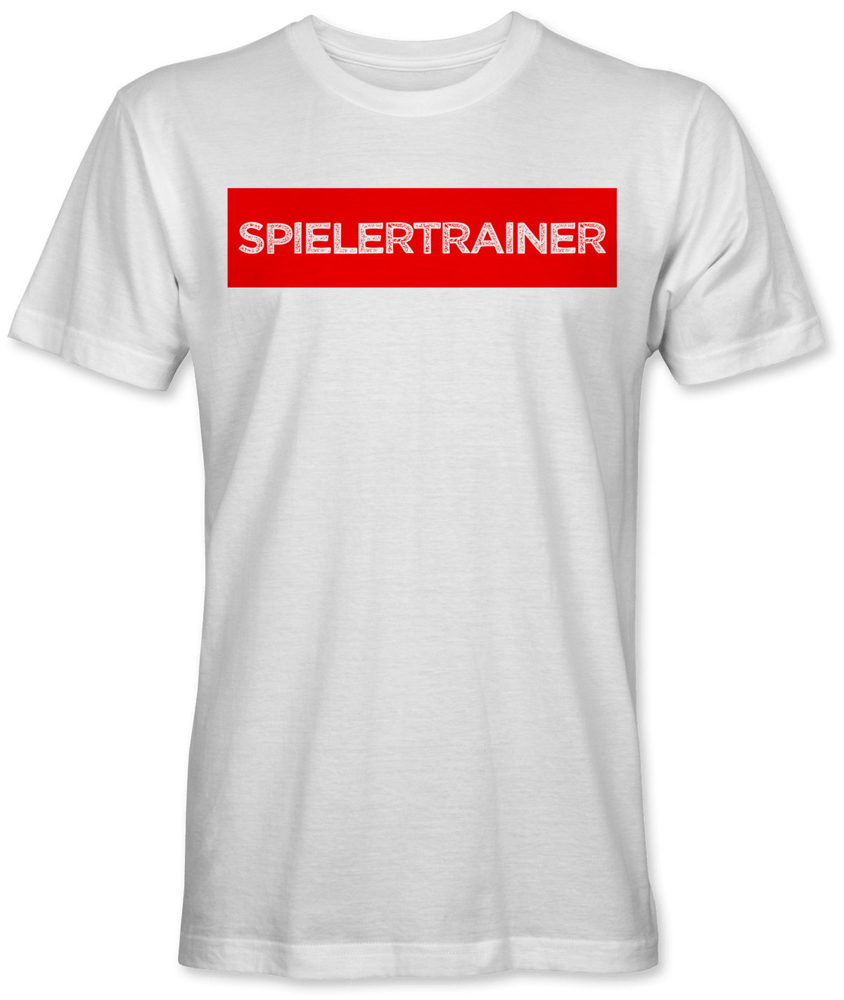 Spielertrainer